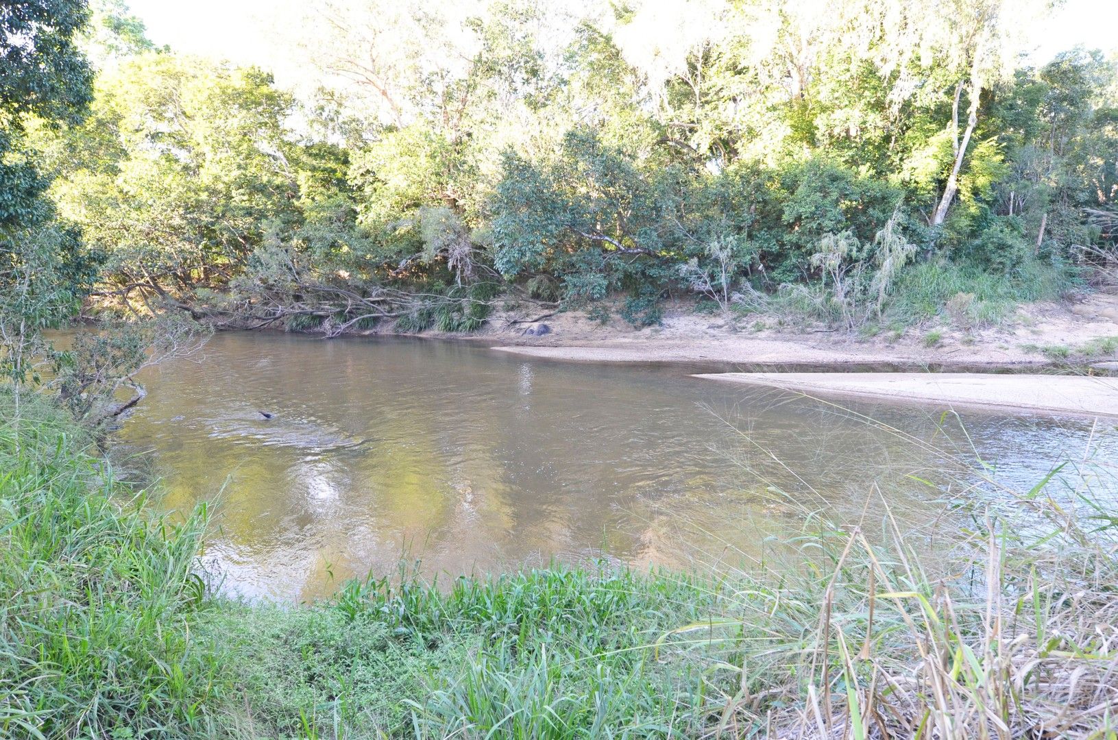 231 River Road, Biboohra QLD 4880, Image 2