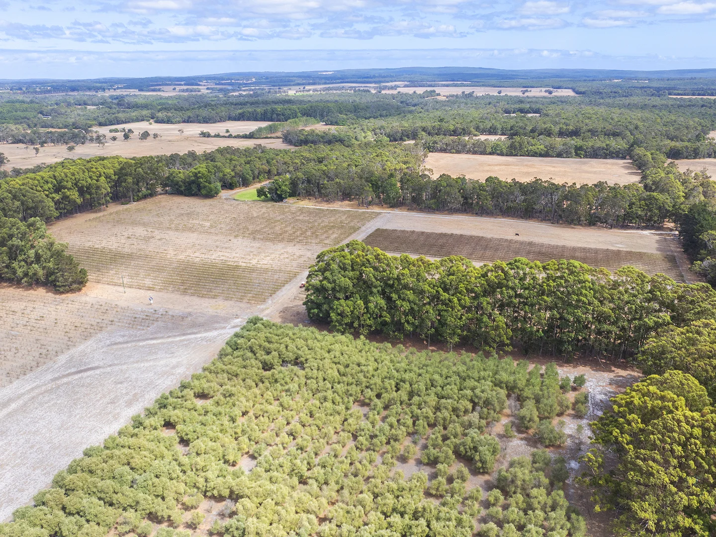 Additional image 4 of 69 Campbell Road, Warner Glen WA 6288