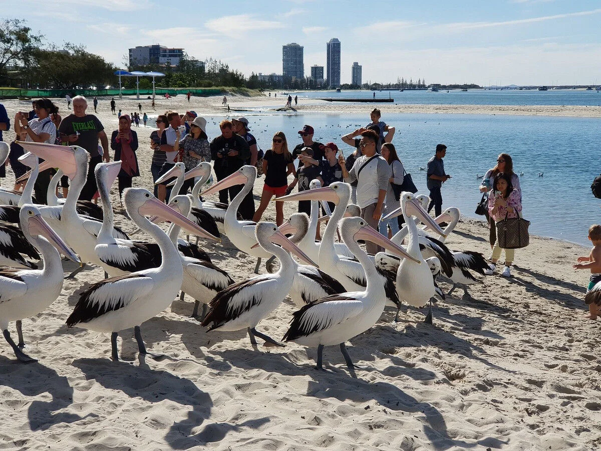 Additional image 15 of 23/125 Frank Street, Labrador QLD 4215