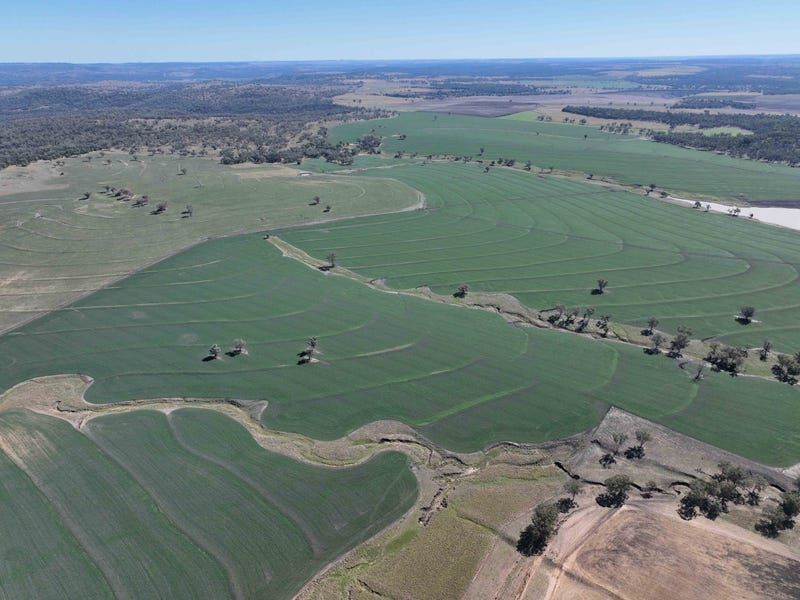 Burmah Aggregation, Burmah Road, Graman NSW 2360, Image 1