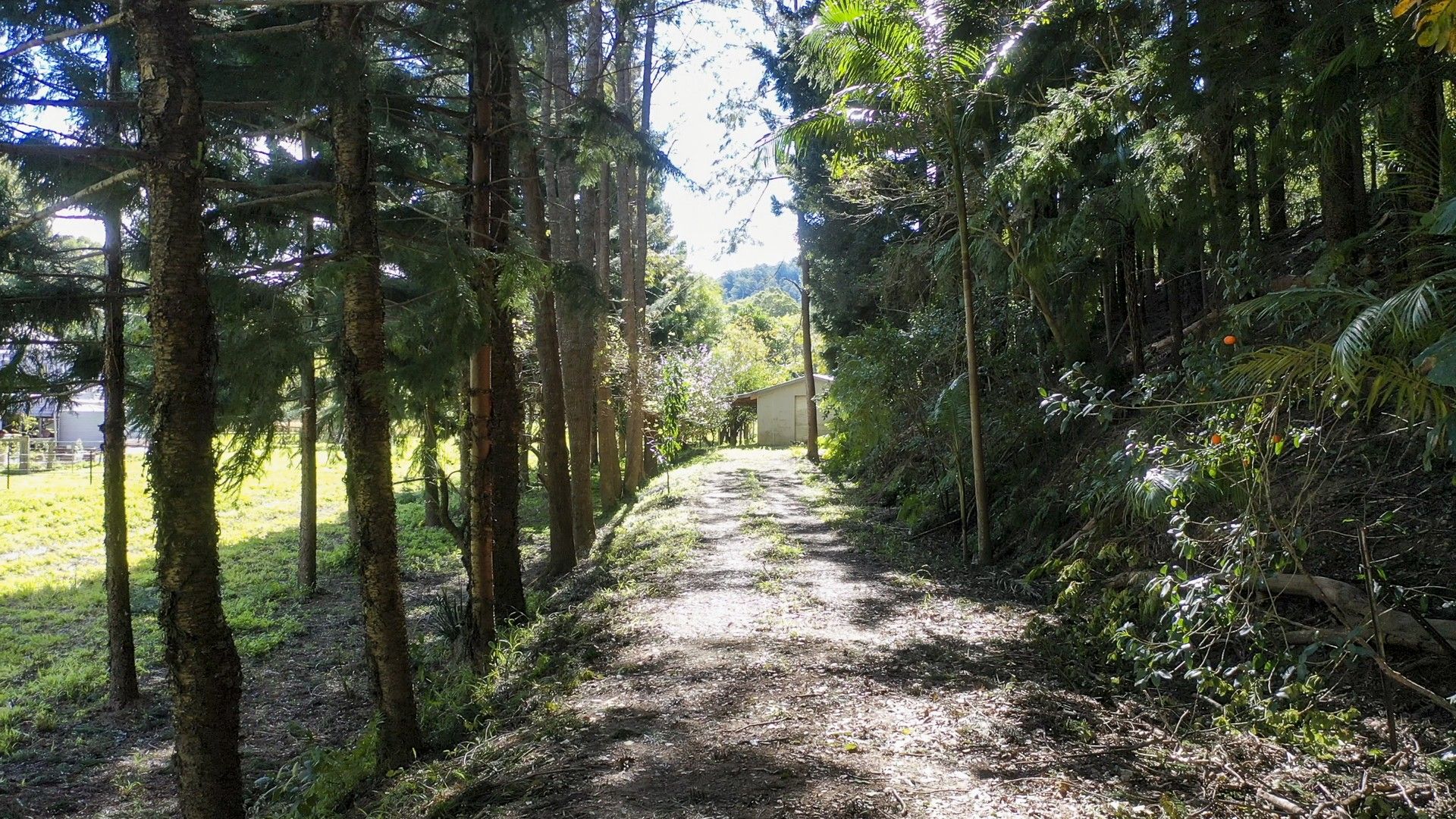 Vacant land in 364 Dairyville Road, UPPER ORARA NSW, 2450