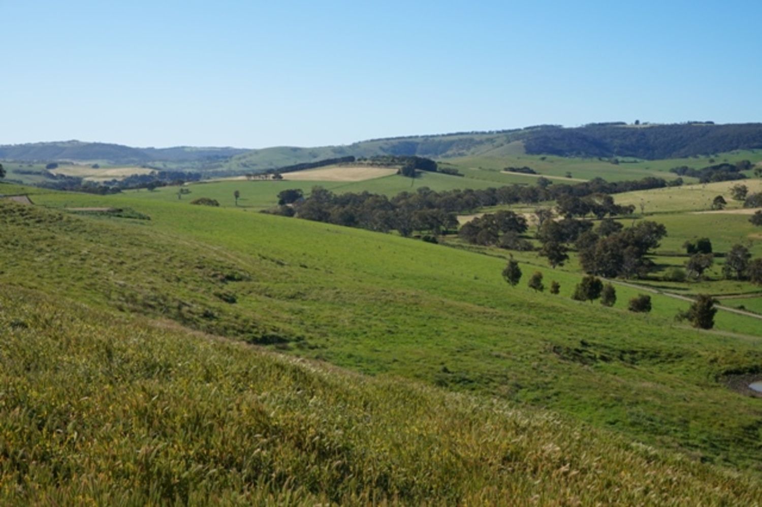 Yankalilla SA 5203, Image 2