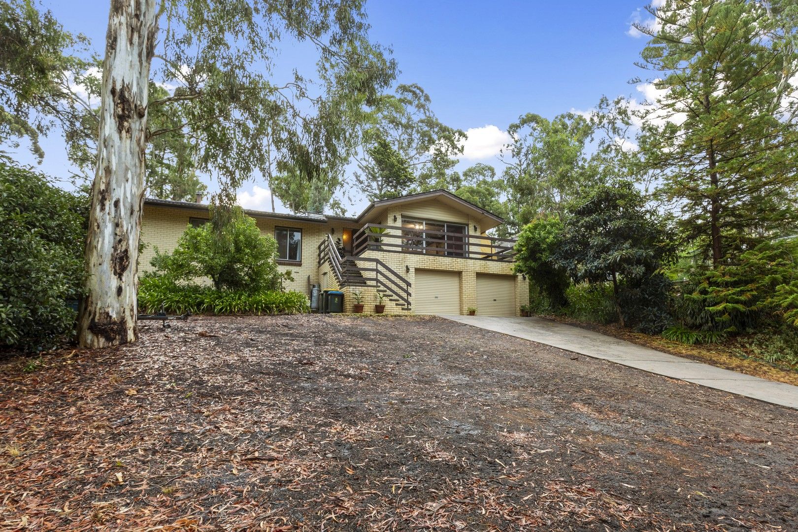 22 Winns Road, Coromandel Valley SA 5051, Image 0