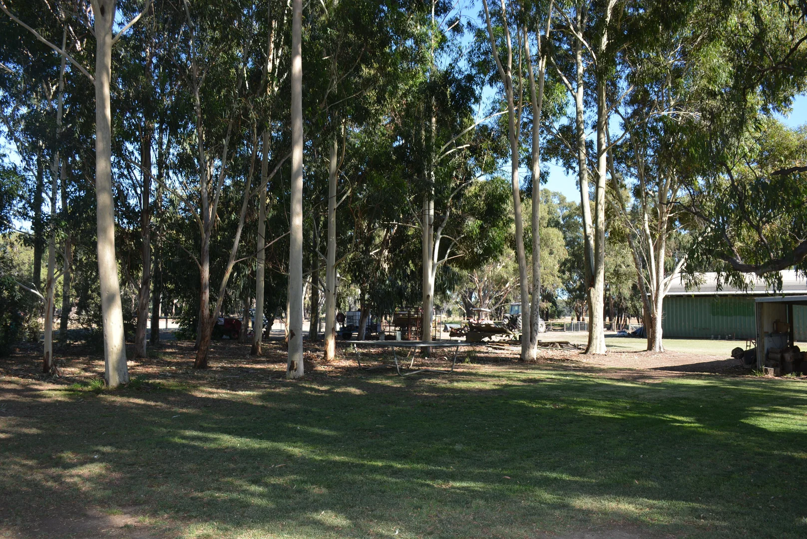 Image 28