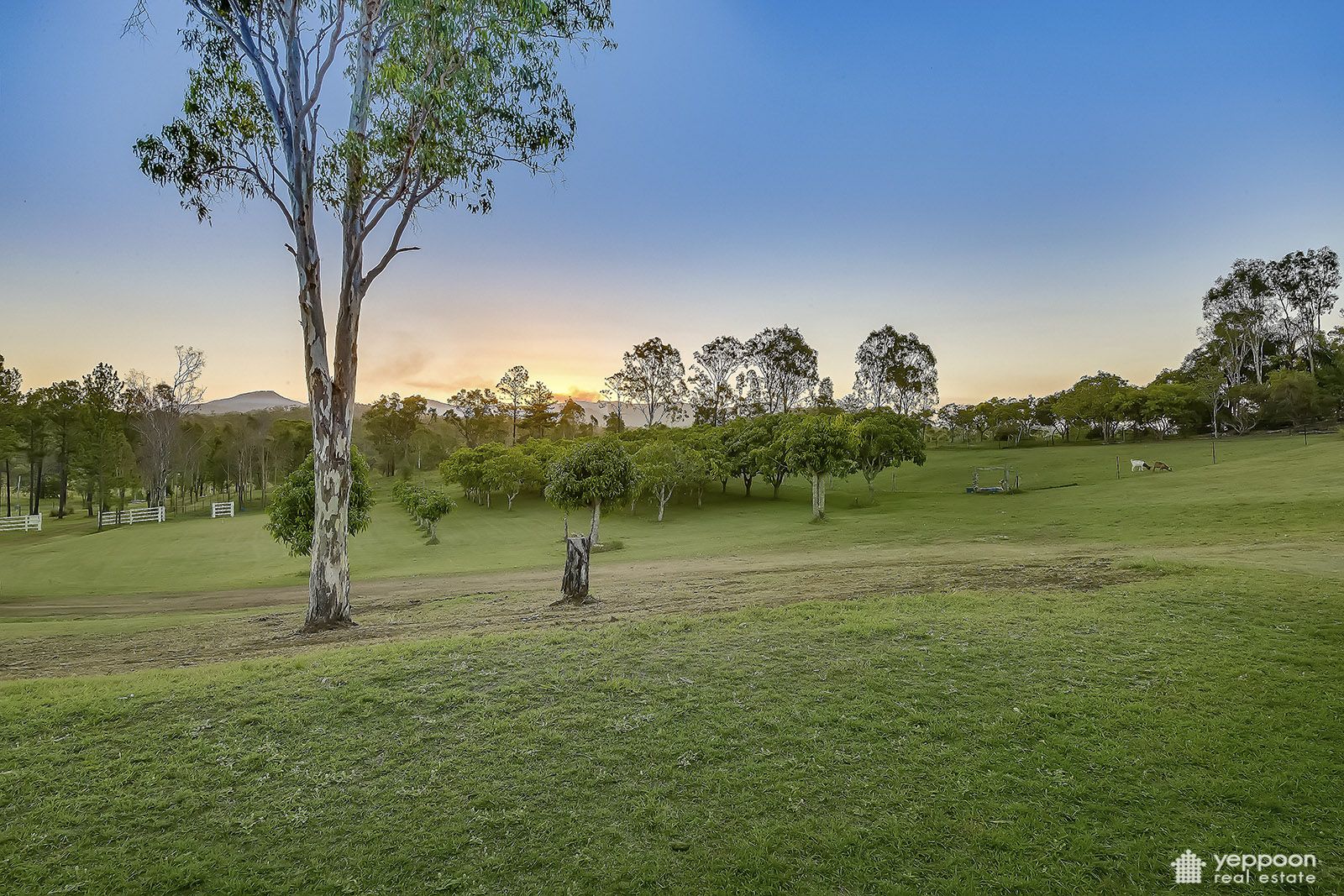 92 Cawarral Road, Tungamull QLD 4702, Image 1