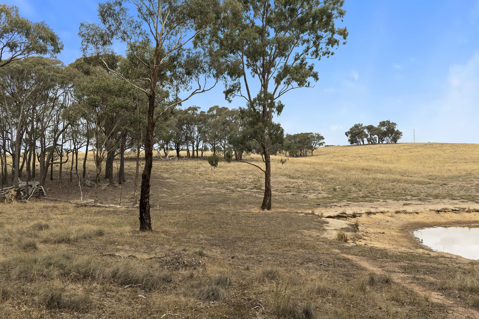 554 Dairy Flat Road, Heathcote South VIC 3523, Image 1