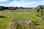 Image 32