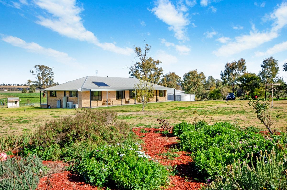 445 Spains Lane, Quirindi Property History & Address Research Domain