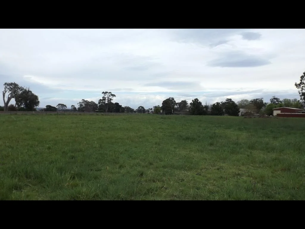 Image 13