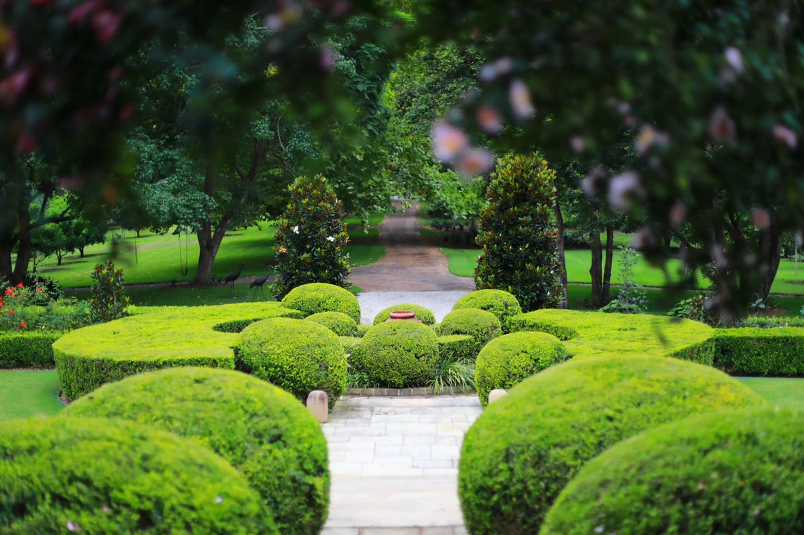 Image 17