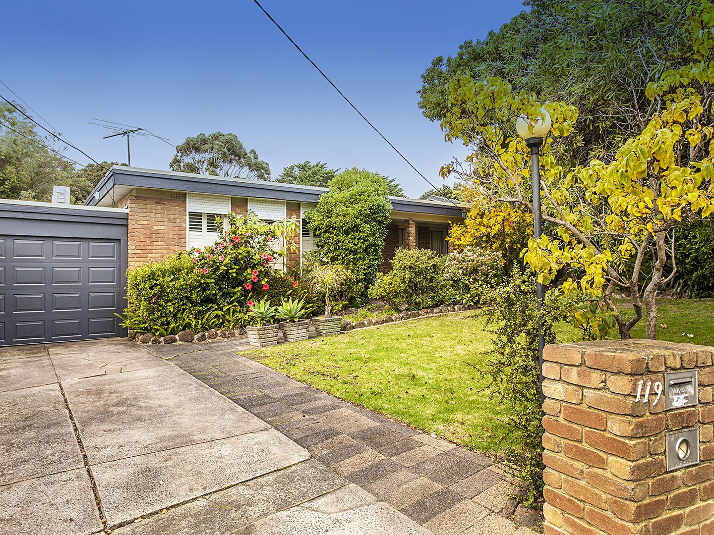 119 Therese Avenue, Mount Waverley Property History & Address