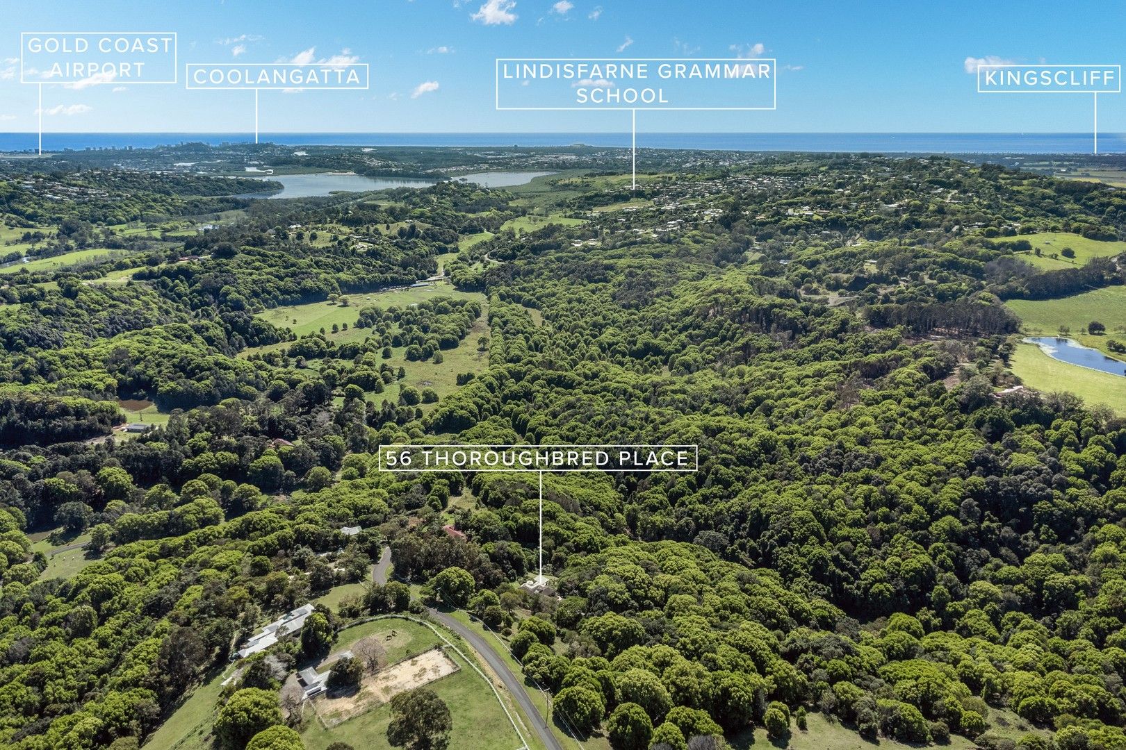 56 Thoroughbred Place, Bungalora NSW 2486, Image 0