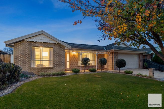 Picture of 13 Burnley Grove, TAYLORS HILL VIC 3037