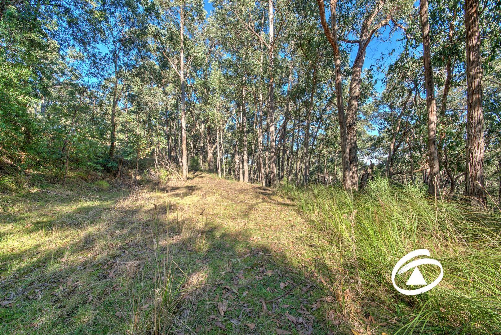 Lot 1 Borchardt Street, Guys Hill VIC 3807, Image 2