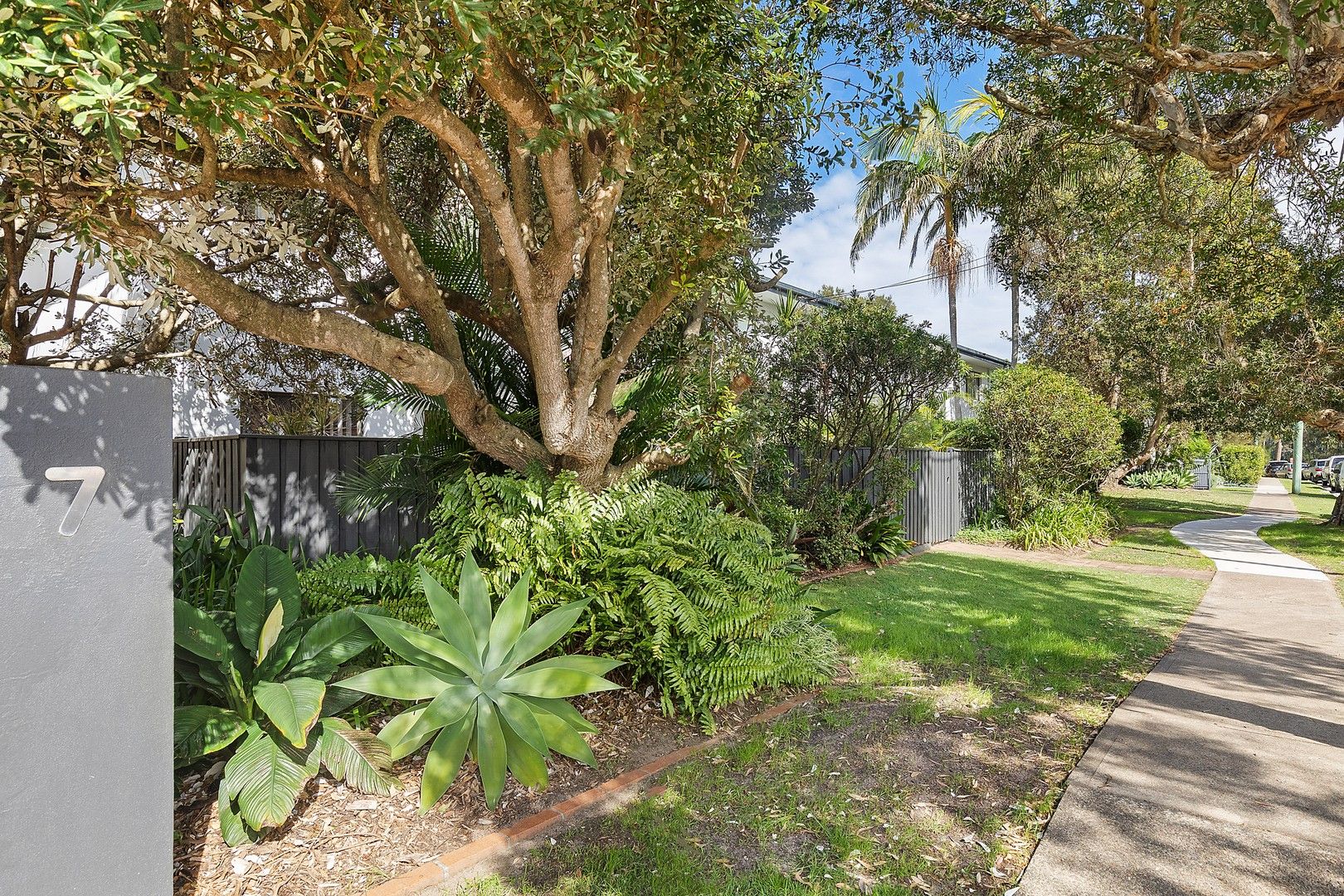 7/7 Narrabeen Street, Narrabeen NSW 2101 Apartment For Rent Domain