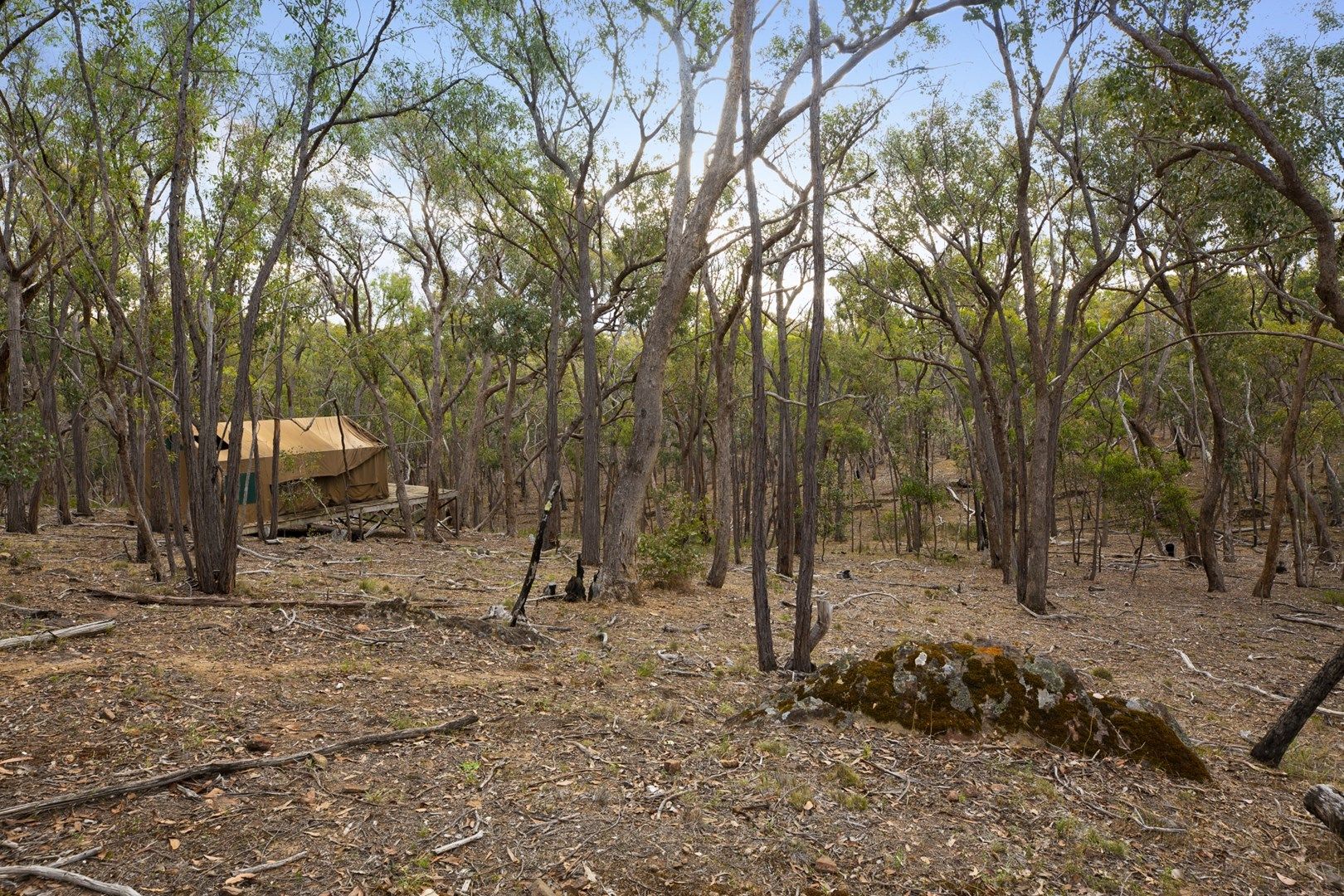 Lot 50 Coach Track, Franklinford VIC 3461, Image 2