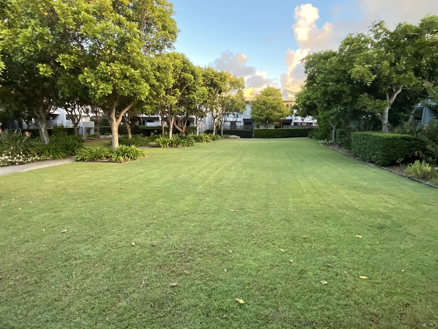 Additional image 2 of ID:21173176/34 O'Doherty Circuit, Nudgee QLD 4014