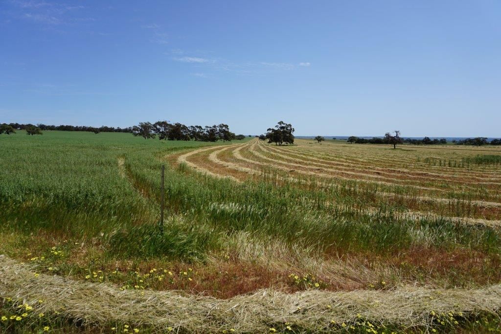 831 Agaton Road, Dandaragan WA 6507, Image 1