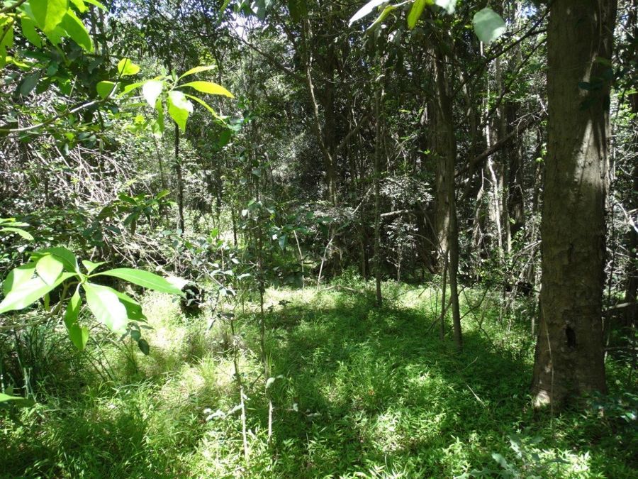 Lot 4 Lowmead Road, Lowmead QLD 4676, Image 2