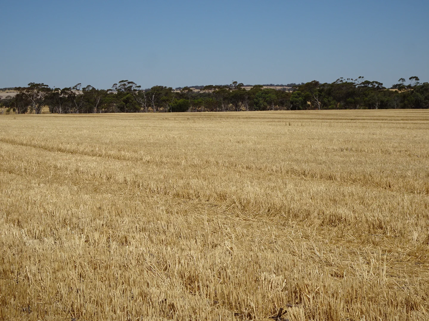 Image 17
