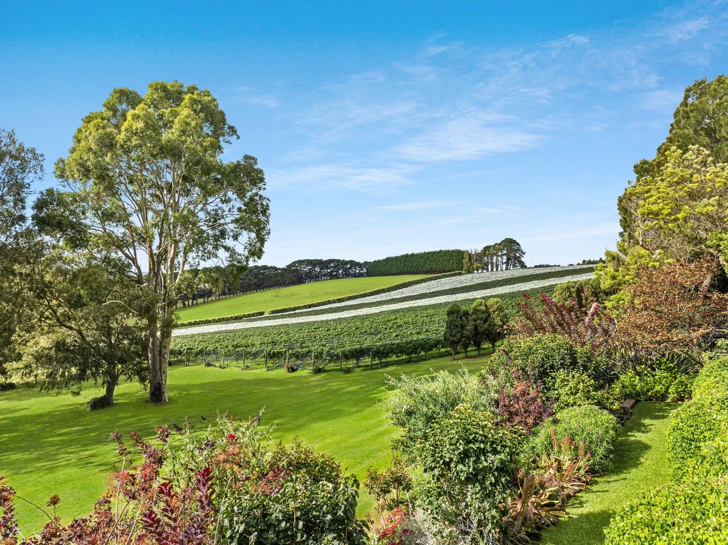 Additional image 25 of 72 Baldrys Road, Main Ridge VIC 3928