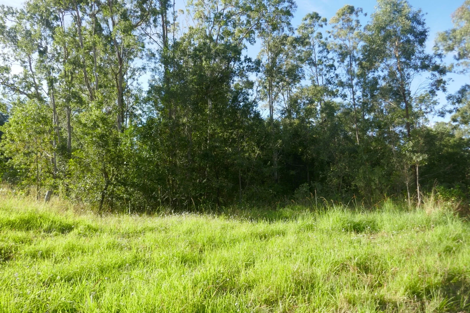 Image 18