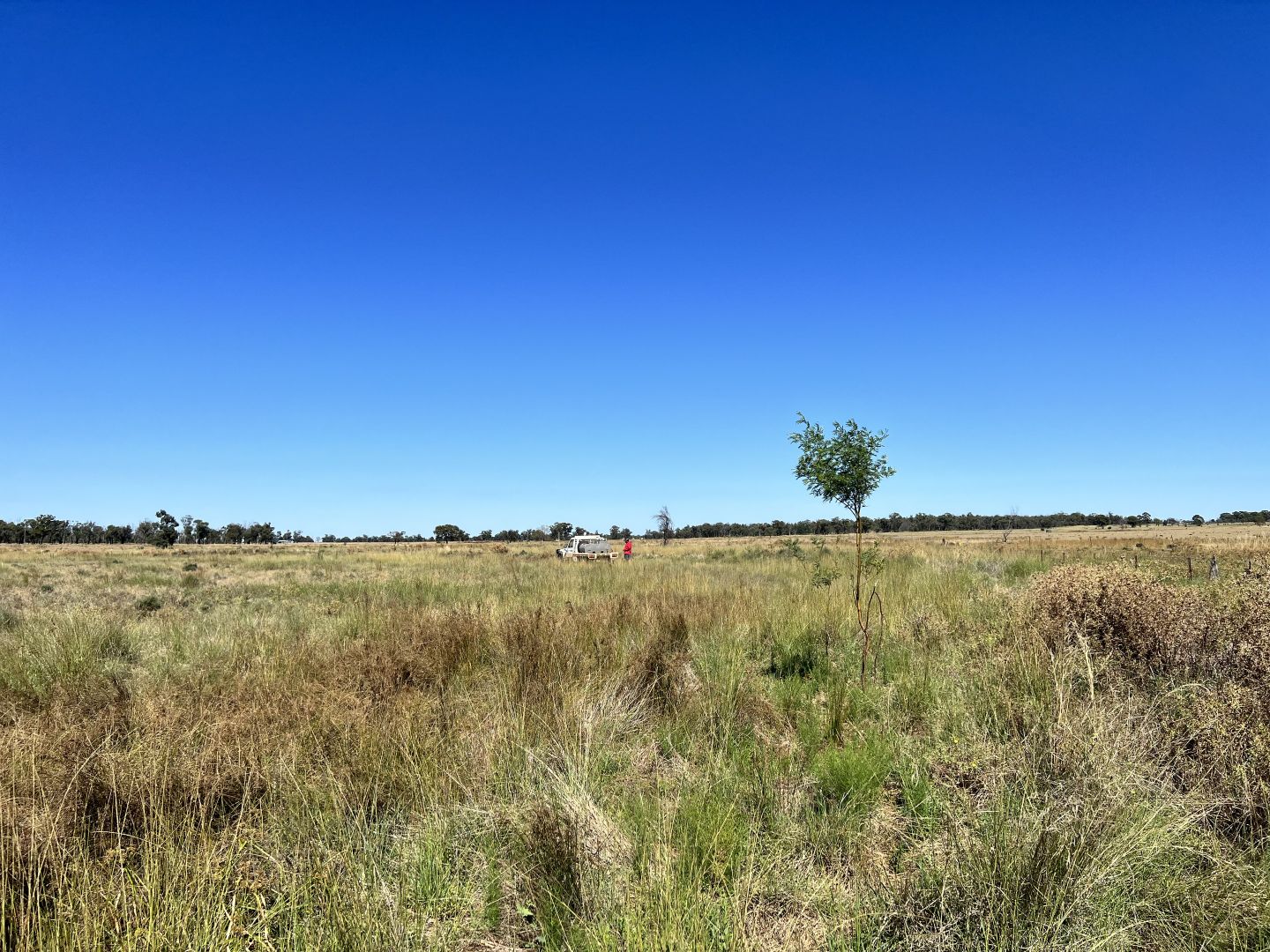 Bruie Plains Road, Bruie Plains NSW 2875, Image 1