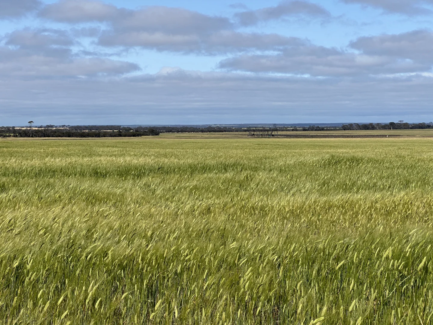 Image 14