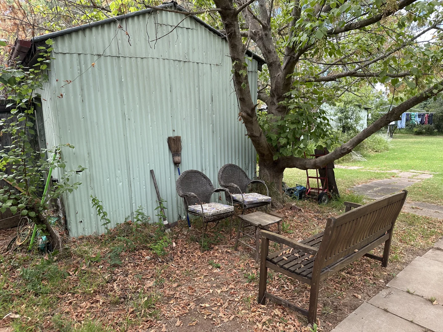 Image 21