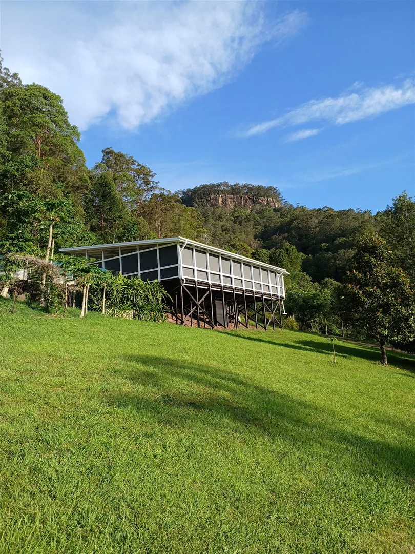 Image 12