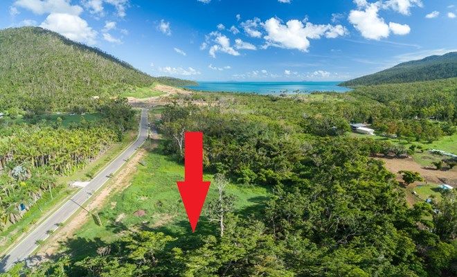 Picture of 59 Jasinique Drive, WHITSUNDAYS QLD 4802