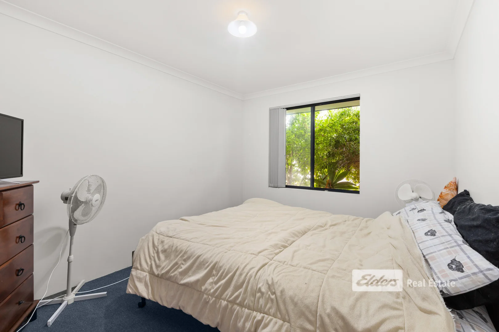Additional image 7 of 37B Wisbey Street, Carey Park WA 6230