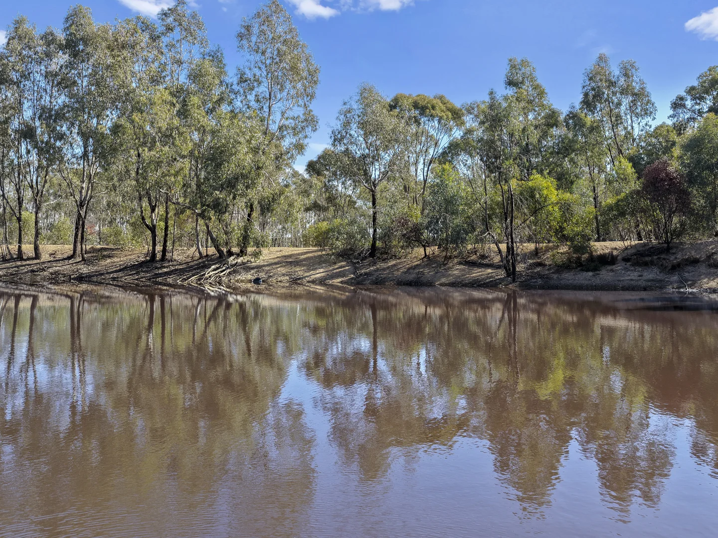 Image 13