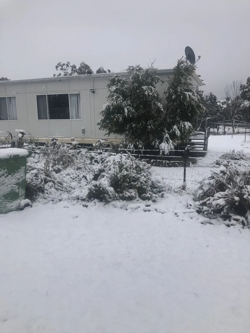 Image 19