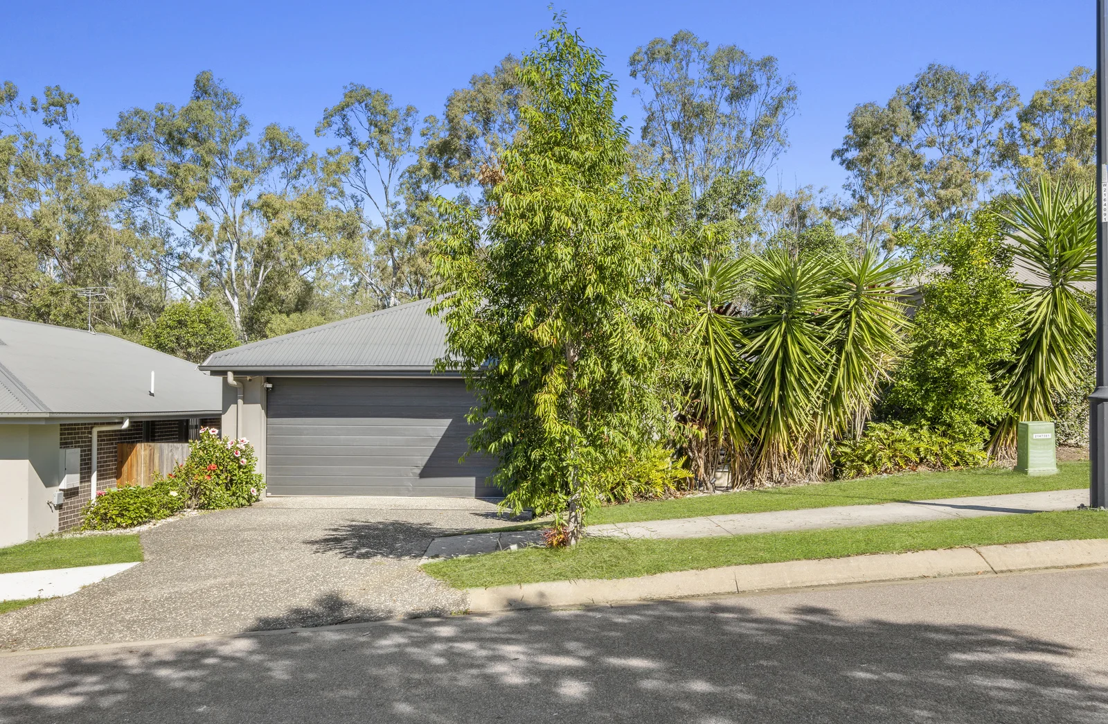 Image 17