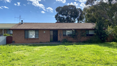 Picture of 7 Shelley Street, COWRA NSW 2794