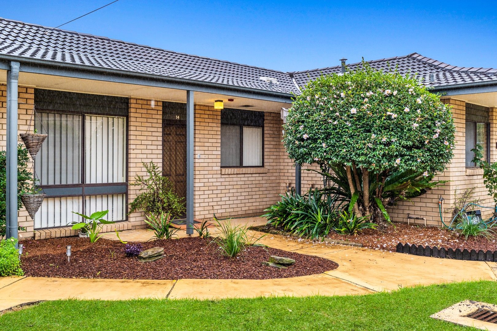 14/31 Crookston Drive, Camden NSW 2570, Image 0