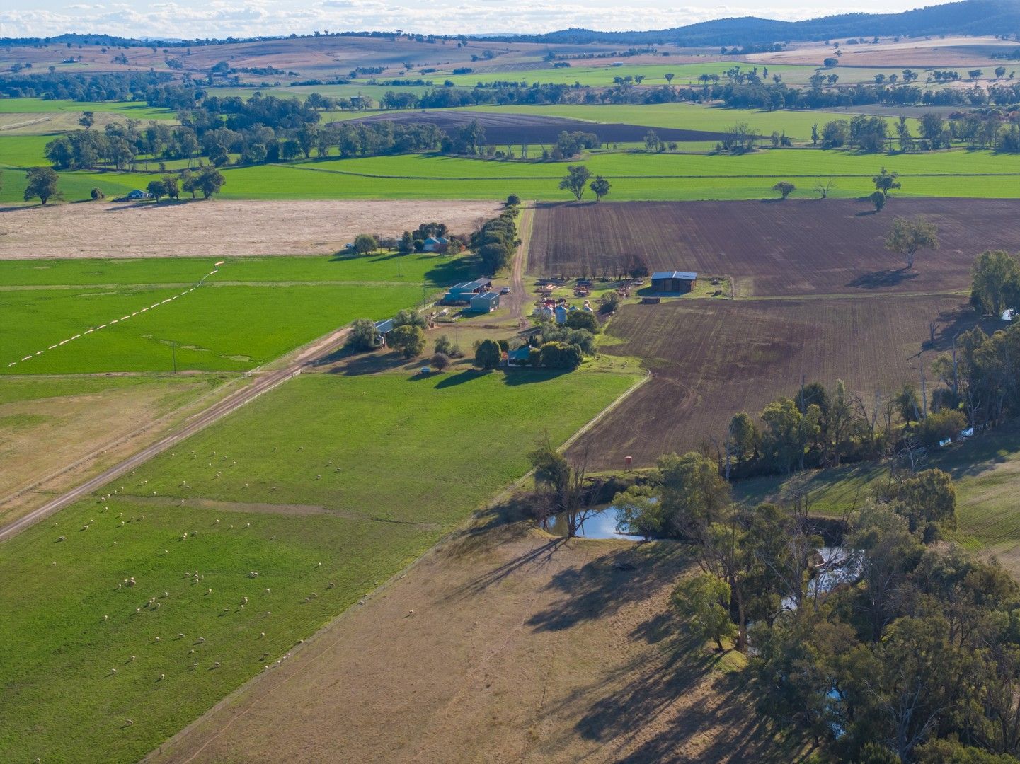 Settlement Bridge Road, Canowindra NSW 2804, Image 0