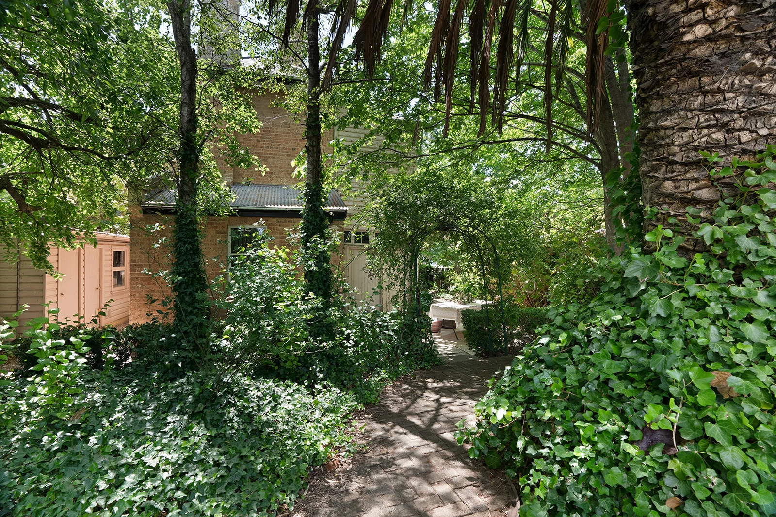 Image 11