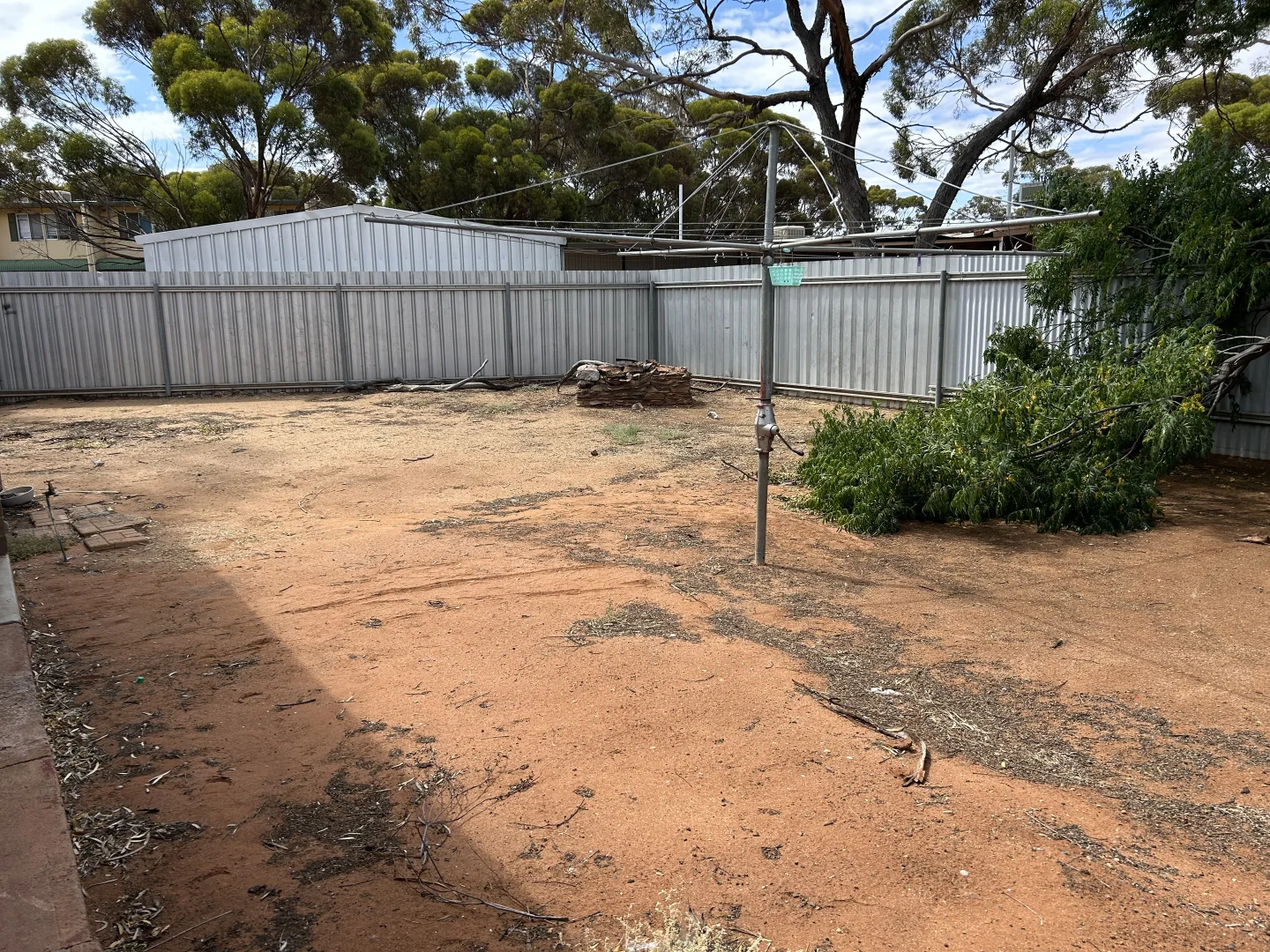 Image 12