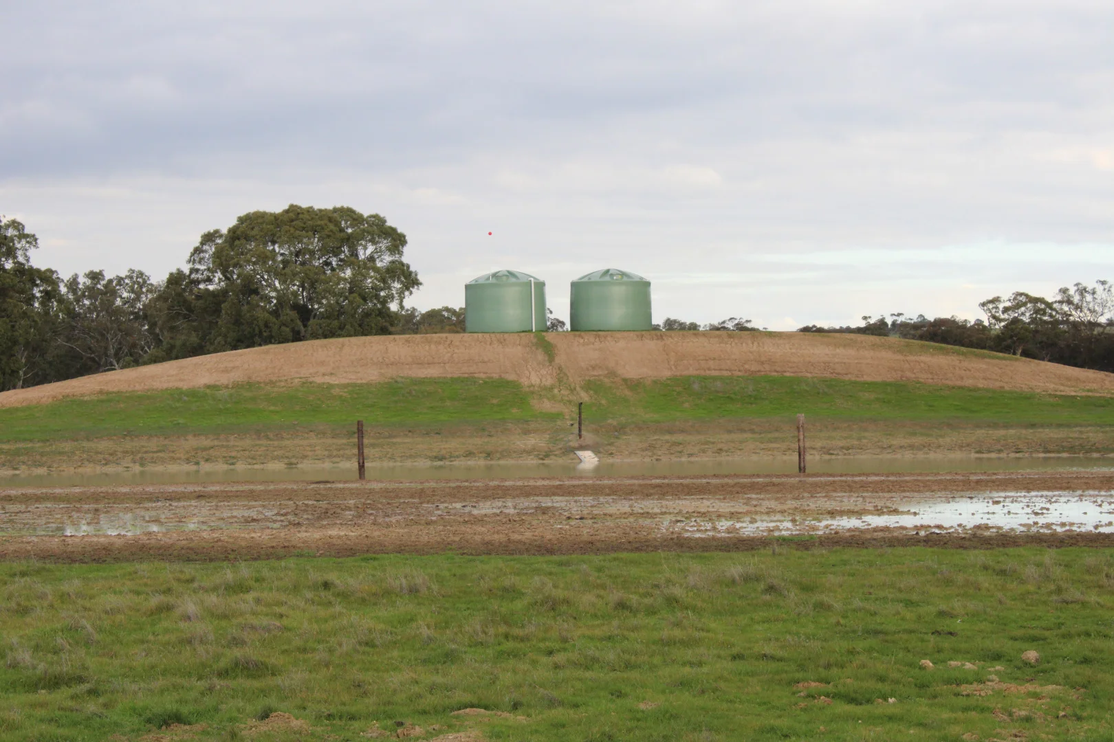Image 22