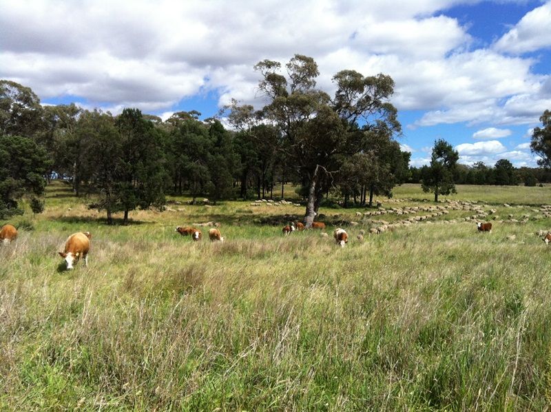 48 Firbank Road, Wongarbon NSW 2831, Image 0