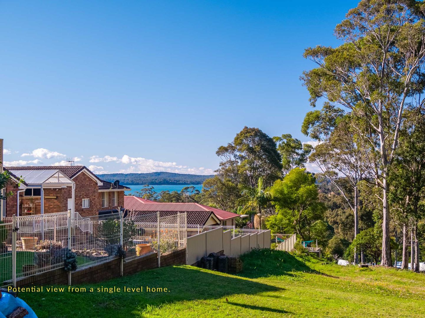 31a Yarrabee Drive, Catalina NSW 2536, Image 2