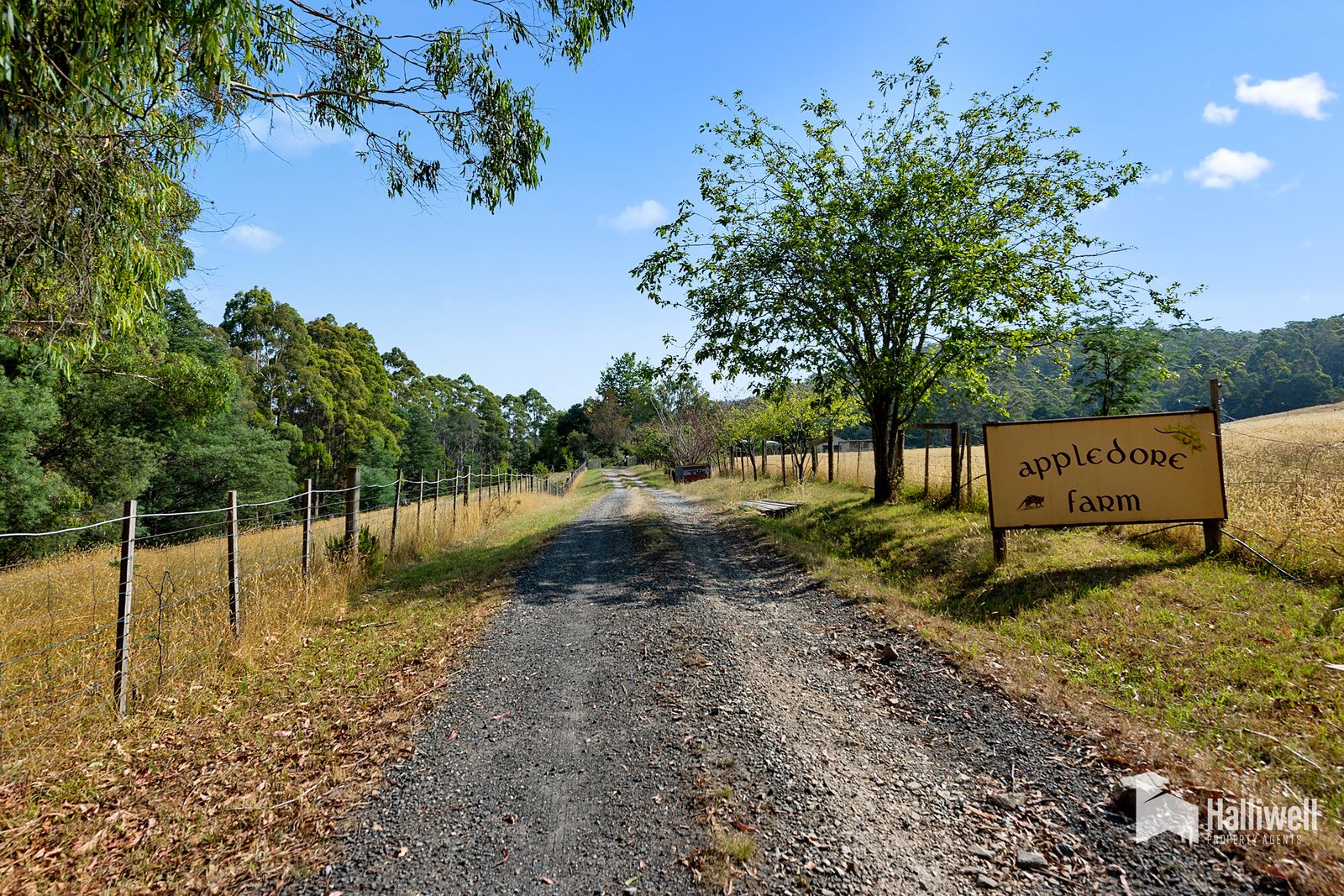 1008 Wilmot Road, Kindred TAS 7310, Image 1