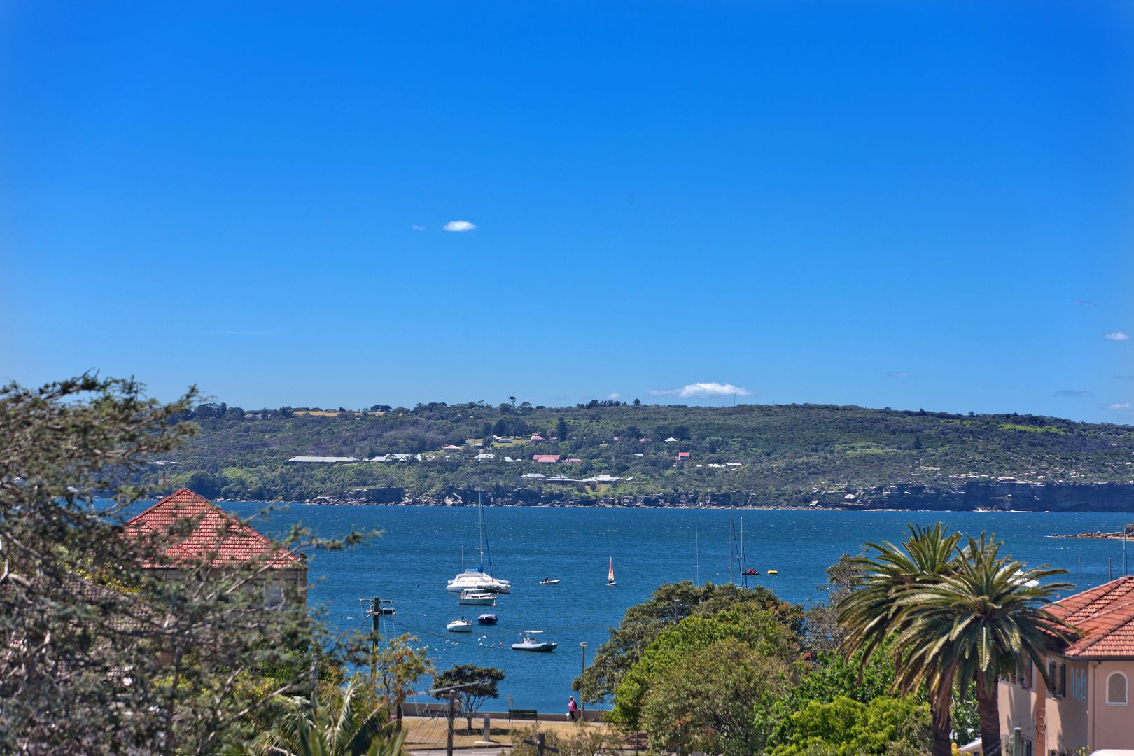 24 Esther Road, Mosman NSW 2088, Image 2