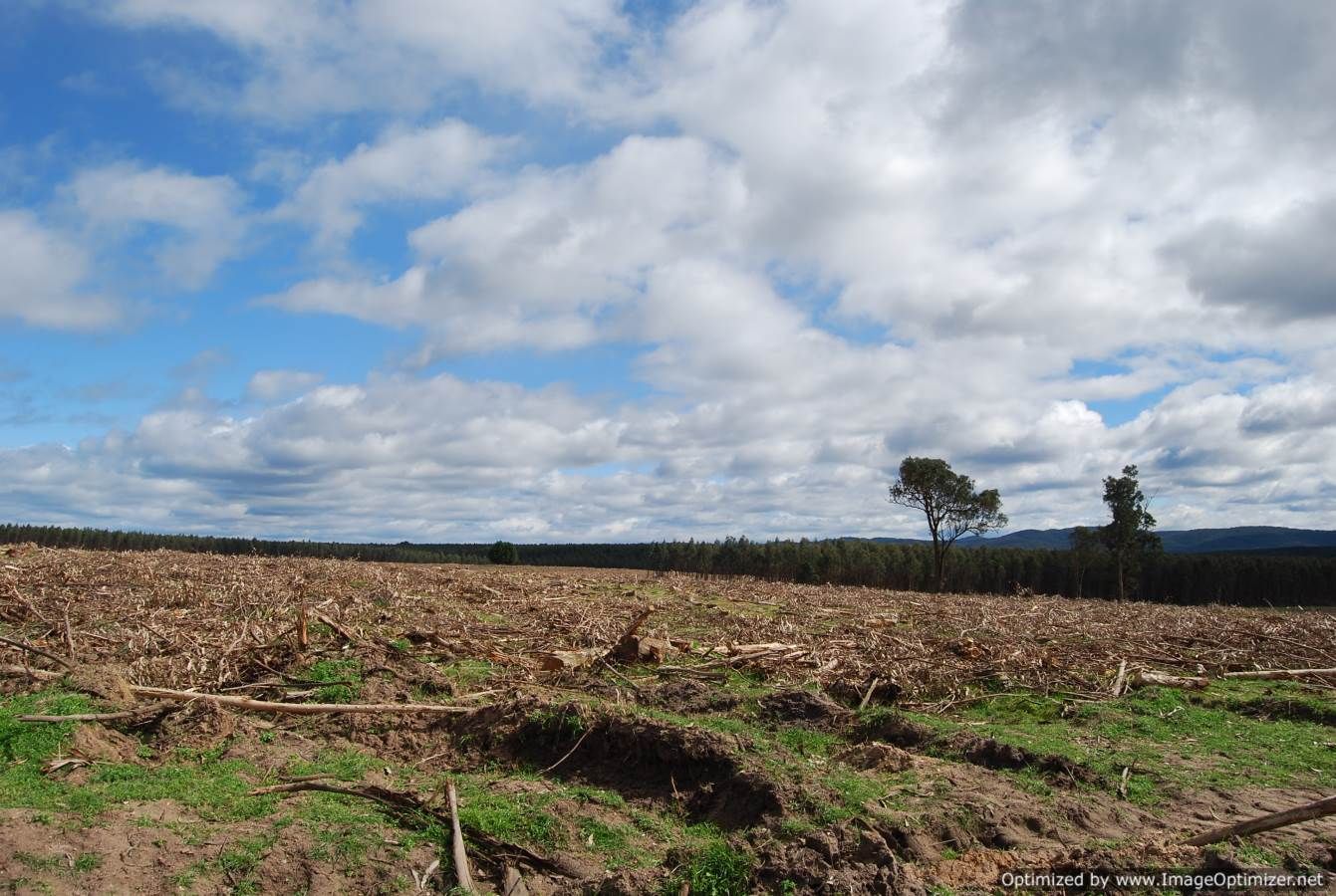 - Stockdale-Fernbank Road, Stockdale VIC 3862, Image 0