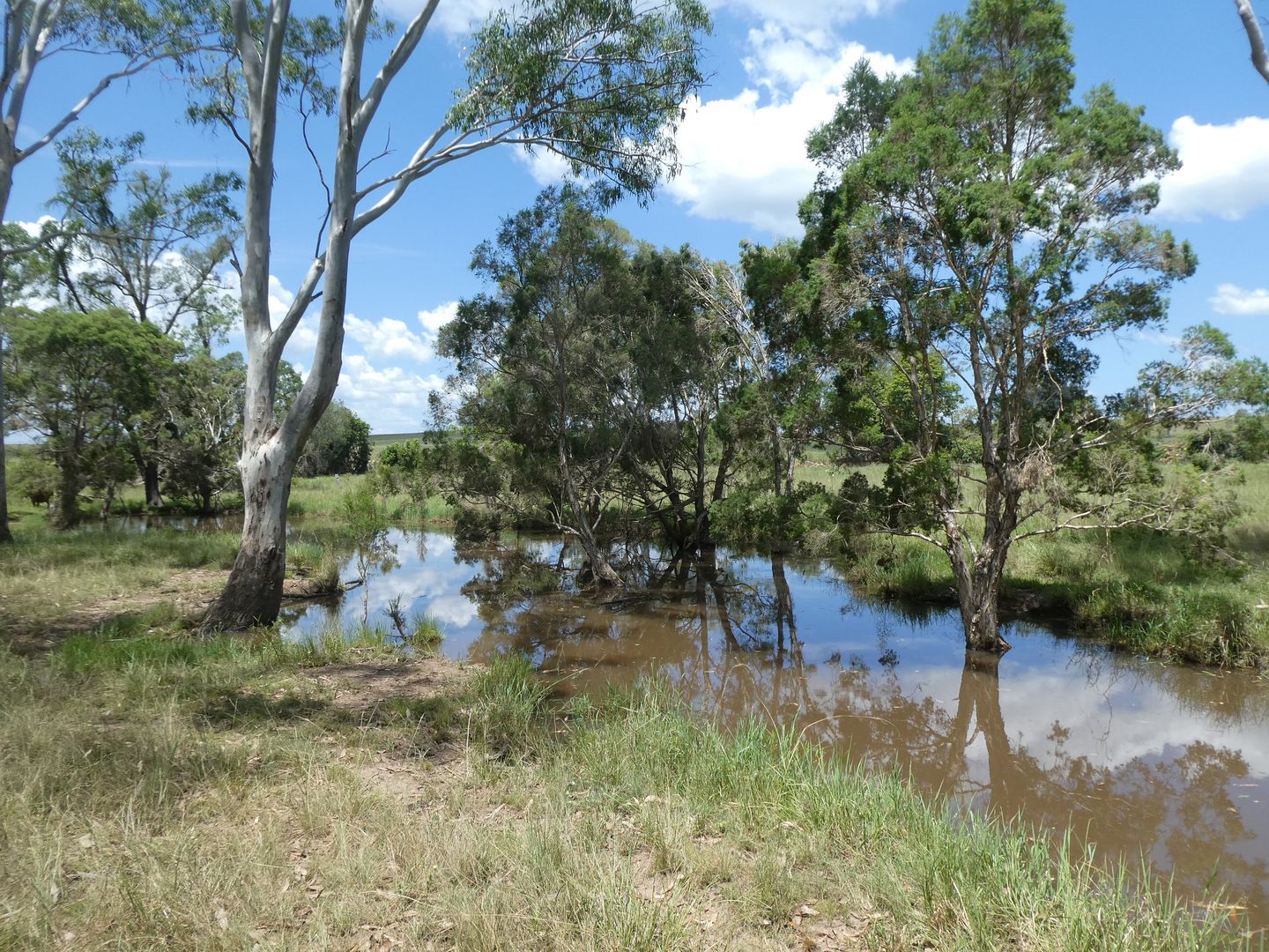 Teebar QLD 4620, Image 1