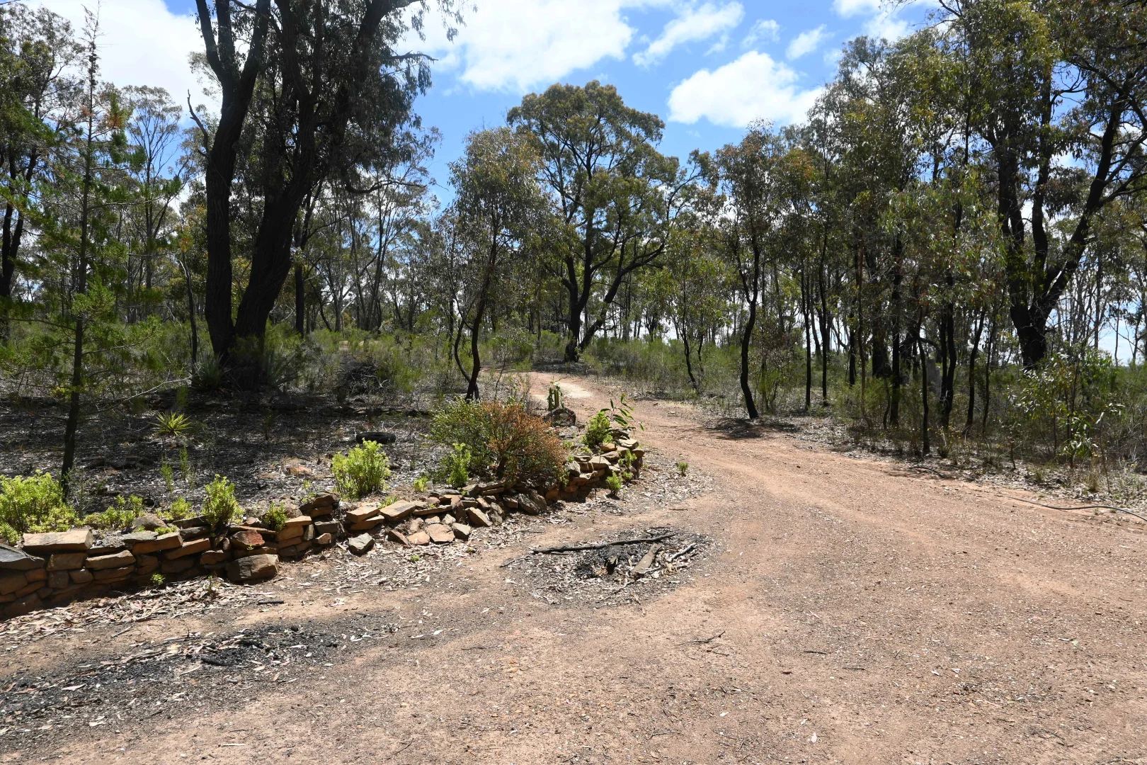 Image 15