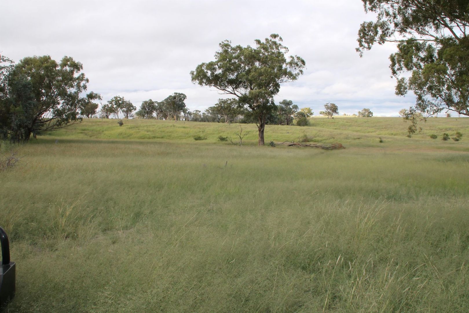 Lot 2 Mole Station Road, Tenterfield NSW 2372, Image 1