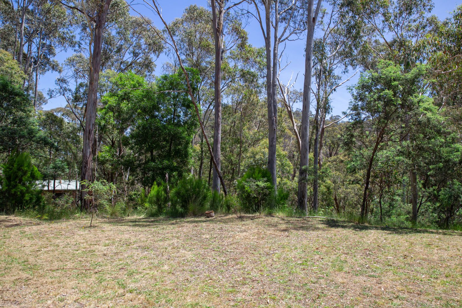 26 Christensen Street, Sawmill Settlement VIC 3723, Image 1